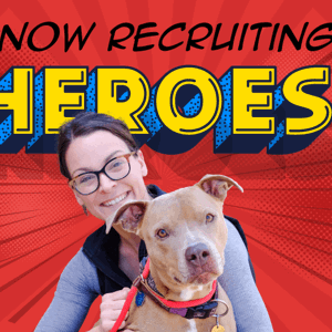 /images/news/2022/Blog post-recruiting heroes.png image